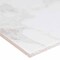 Msi Pietra Carrara SAMPLE Glazed Porcelain Floor And Wall Tile ZOR-PT-0265-SAM - alternate 2